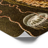 ヴィンテージクラゲアンティーククラゲテンプレート ポスター (角)