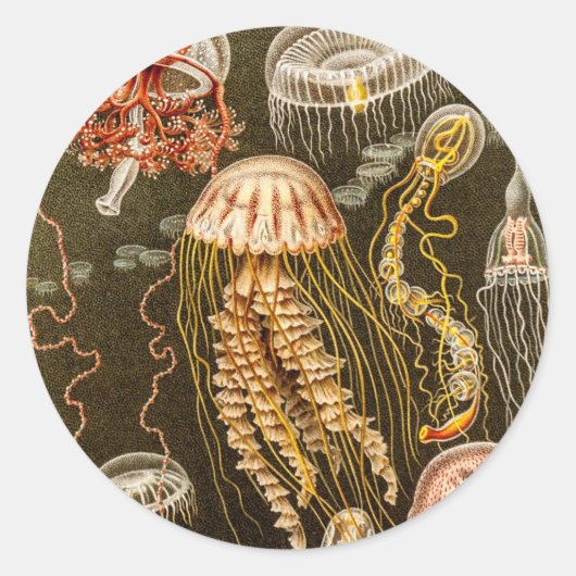 ヴィンテージクラゲアンティーククラゲテンプレート ラウンドシール (正面)