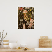 ヴィンテージクラゲアンティークゼリー魚イラストレーション ポスター (キッチン)