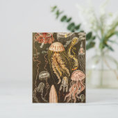 ヴィンテージクラゲアンティークゼリー魚イラストレーション ポストカード (スタンド正面)