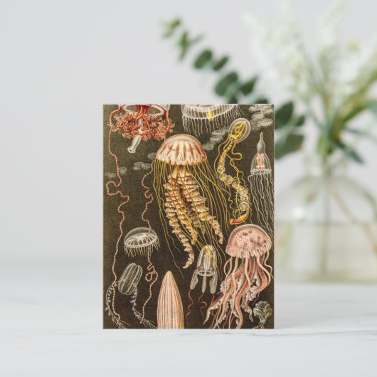 ヴィンテージクラゲアンティークゼリー魚イラストレーション ポストカード (スタンド正面)