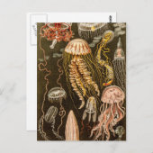 ヴィンテージクラゲアンティークゼリー魚イラストレーション ポストカード (正面/裏面)