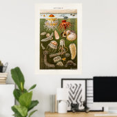 ヴィンテージクラゲイラストレーションアンティーククラゲ ポスター (ホームオフィス)