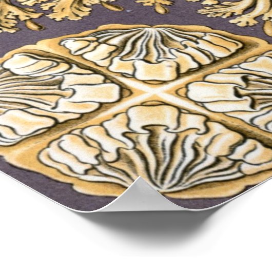 ヴィンテージクラゲイラストレーション ポスター (角)