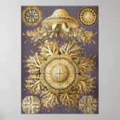 ヴィンテージクラゲイラストレーション ポスター (正面)