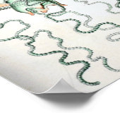 ヴィンテージクラゲイラストレーション ポスター (角)