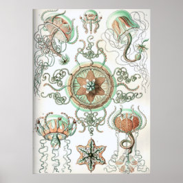 ヴィンテージクラゲイラストレーション ポスター