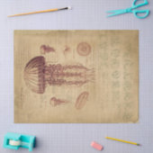 ヴィンテージクラゲ分離 薄葉紙 (クラフト)