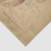 ヴィンテージクラゲ分離 薄葉紙 (詳細)