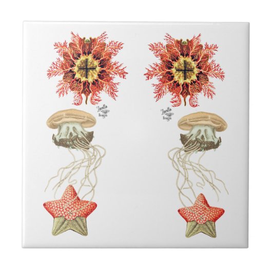 ヴィンテージクラゲ タイル (正面)