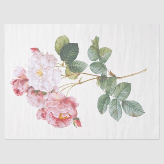 ヴィンテージクラシックアンティーク手絵を描花 薄葉紙 (正面)