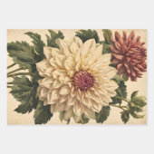 ヴィンテージクラシックピンクホワイトダリアスボタニカル ラッピングペーパーシート (正面2)