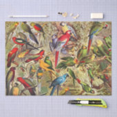 ヴィンテージクラシック熱帯鳥のパロットデコップページ 薄葉紙 (クラフト)