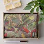 ヴィンテージクラシック熱帯鳥のパロットデコップページ 薄葉紙 (ギフト)