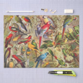 ヴィンテージクラシック熱帯鳥のパロットデコップページ 薄葉紙 (クラフト)