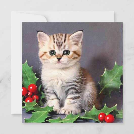 ヴィンテージクリスマスの子猫とホリー カード (正面)