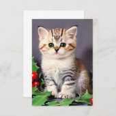 ヴィンテージクリスマスの子猫とホリー サンキューカード (正面/裏面)