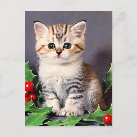 ヴィンテージクリスマスの子猫とホリー ポストカード (正面)
