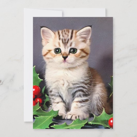ヴィンテージクリスマスの子猫とホリー 案内状 (正面)