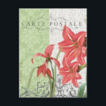 ヴィンテージクリスマスアマリリスのはがき シーズンポストカード<br><div class="desc">ヴィンテージクリスマスアマリリスのはがき</div>