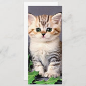 ヴィンテージクリスマスキットンとホリーカード (正面/裏面)