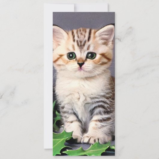 ヴィンテージクリスマスキットンとホリーカード (正面)