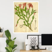 ヴィンテージクリスマスサボテンのポスター ポスター (ホームオフィス)