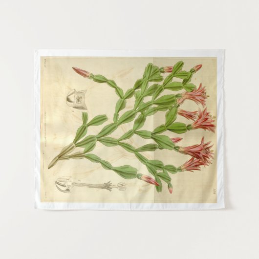 ヴィンテージクリスマスサボテンタペストリー タペストリー (正面(横))