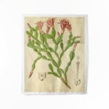 ヴィンテージクリスマスサボテンタペストリー