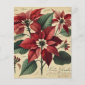 ヴィンテージクリスマスポインセチア植物解体書 (正面)