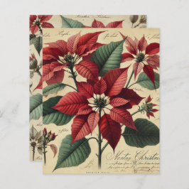 ヴィンテージクリスマスポインセチア植物解体書