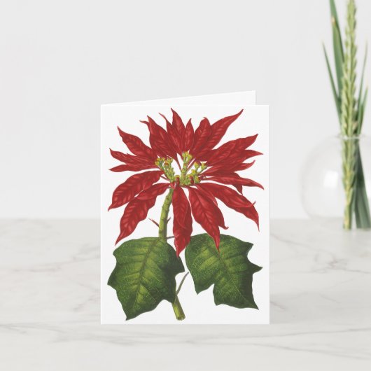 ヴィンテージクリスマス サンキューカード (正面)