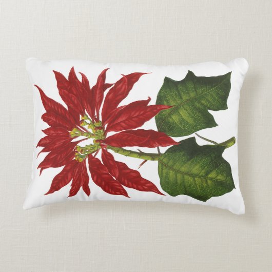 ヴィンテージクリスマス、レッドポインセチア冬の植物 アクセントクッション (裏面)