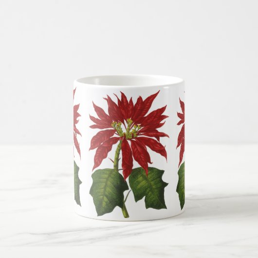 ヴィンテージクリスマス、レッドポインセチア冬の植物 コーヒーマグカップ (中央)
