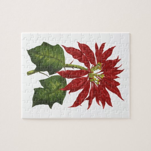 ヴィンテージクリスマス、レッドポインセチア冬の植物 ジグソーパズル (横)