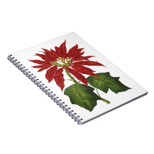 ヴィンテージクリスマス、レッドポインセチア冬の植物 ノートブック (右側)