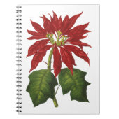 ヴィンテージクリスマス、レッドポインセチア冬の植物 ノートブック (正面)