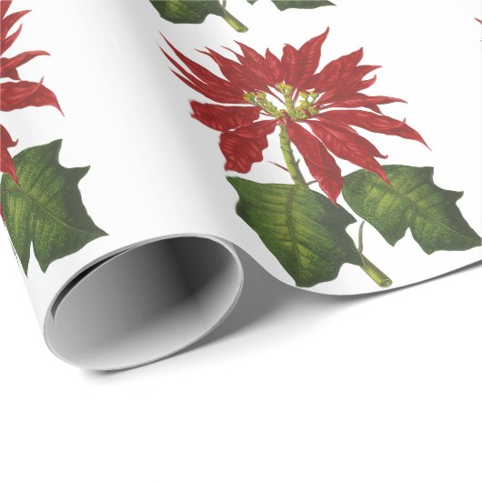 ヴィンテージクリスマス、レッドポインセチア冬の植物 ラッピングペーパー (ロールコーナー)
