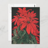 ヴィンテージクリスマス 赤いポインセチアの植物 花 ポストカード (正面/裏面)