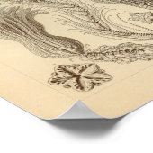 ヴィンテージクリノアイデアカラーエルンストヘッケルプリント ポスター (角)