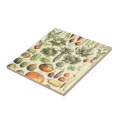 ヴィンテージクリーム野菜パターン タイル (側面)