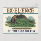 ヴィンテージクレートラベルプリント付き葉書 ポストカード (正面)