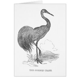 ヴィンテージクレーンバードペン及びインクスケッチ