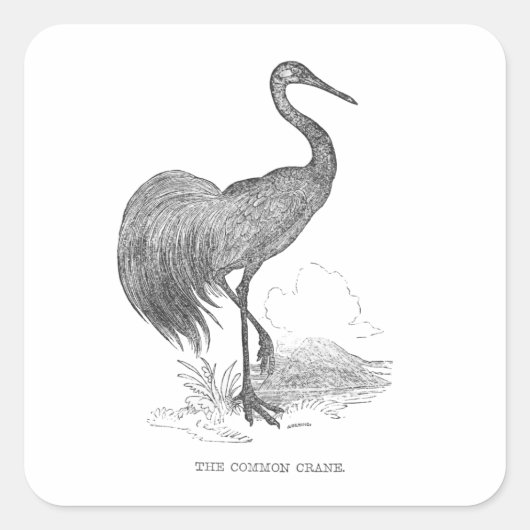 ヴィンテージクレーンバードペン及びインクスケッチ スクエアシール (正面)