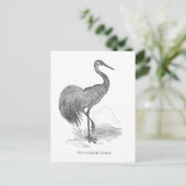 ヴィンテージクレーンバードペン及びインクスケッチ ポストカード (スタンド正面)