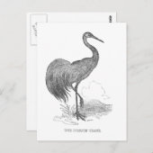 ヴィンテージクレーンバードペン及びインクスケッチ ポストカード (正面/裏面)