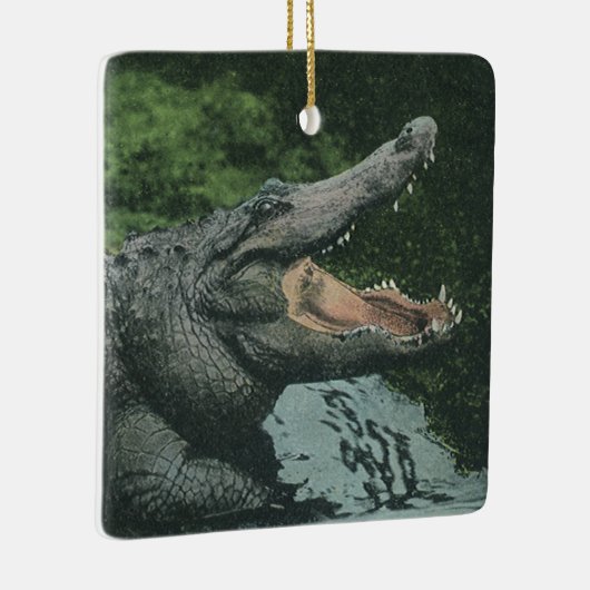 ヴィンテージクロコダイル爬虫類、海洋動物の生活 セラミックオーナメント (右)