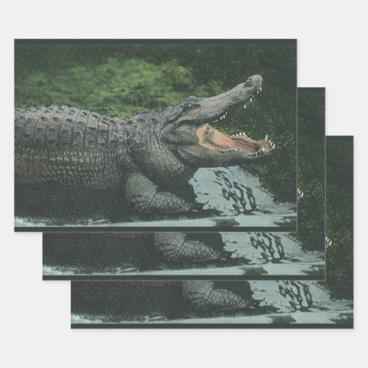 ヴィンテージクロコダイル爬虫類、海洋動物の生活 ラッピングペーパーシート (セット)