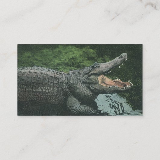 ヴィンテージクロコダイル爬虫類、海洋動物の生活 名刺 (裏面)