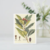 ヴィンテージクローブイラストレーションはがきレシピカード ポストカード (スタンド正面)